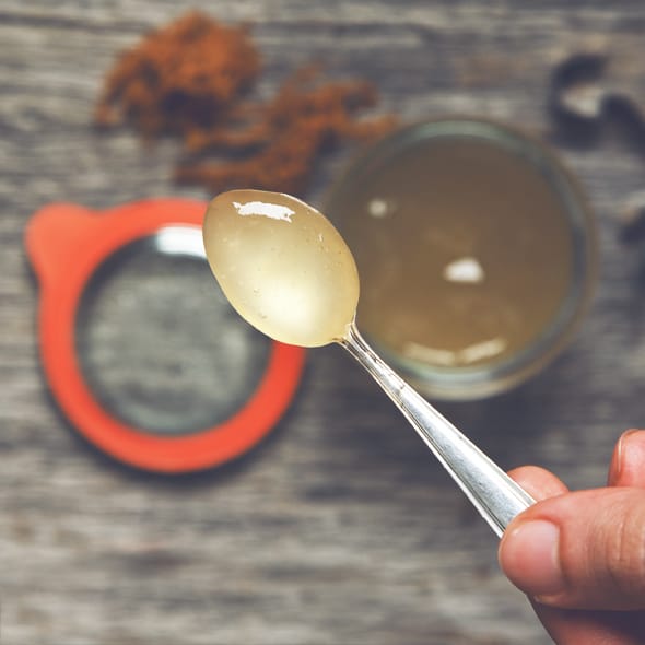 Sea Moss Gel benefits for skin, gut health, thyroid function, and overall wellness.